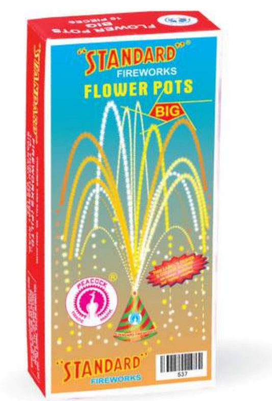 FLOWERPOTS BIG(10PCS)